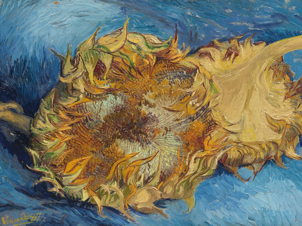 Poster - Sunflowers By Van Gogh 40x30 - Dear Sam