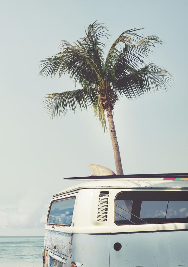 Poster - Surf Van 21x30 - Dear Sam