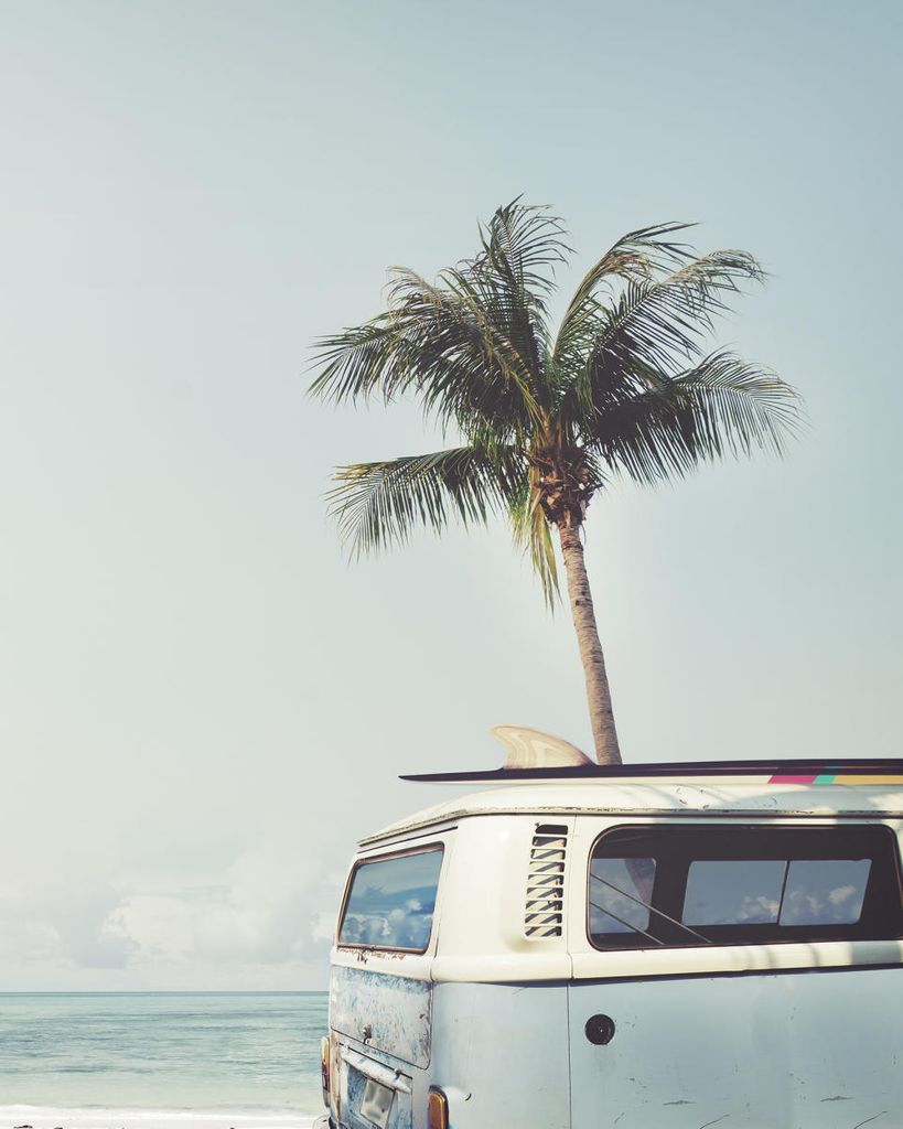 Poster - Surf Van 40x50 - Dear Sam