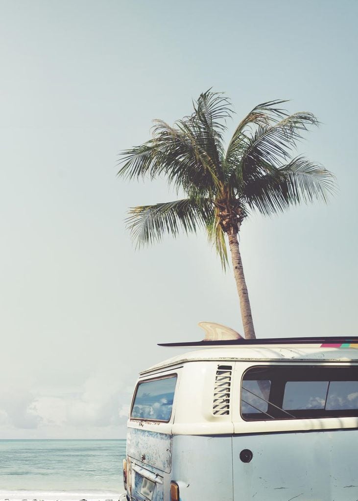 Poster - Surf Van 50x70 - Dear Sam
