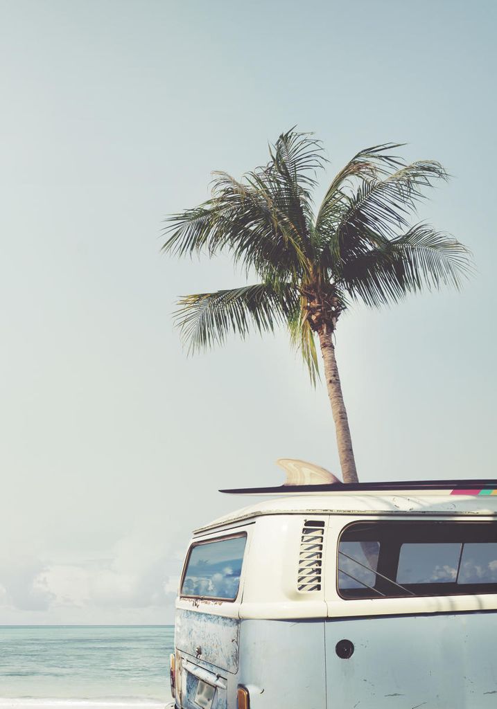 Poster - Surf Van 70x100 - Dear Sam