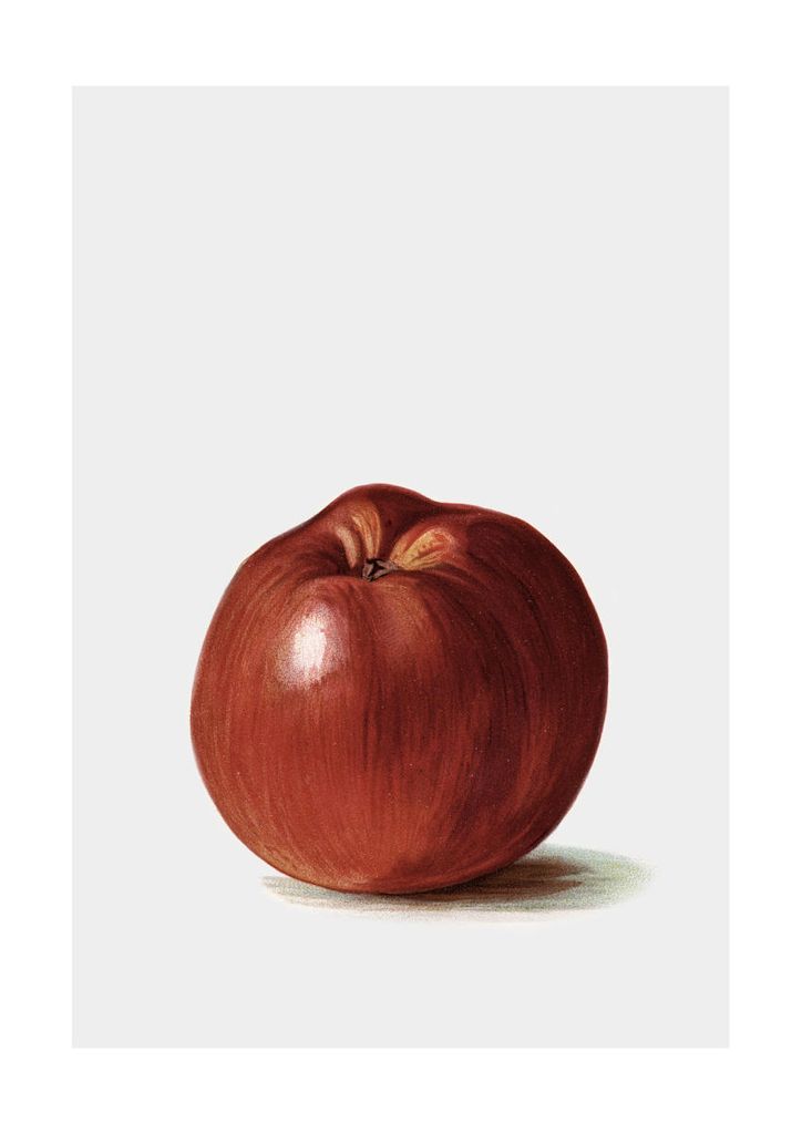Poster - Swedish Apple 21x30 - Dear Sam