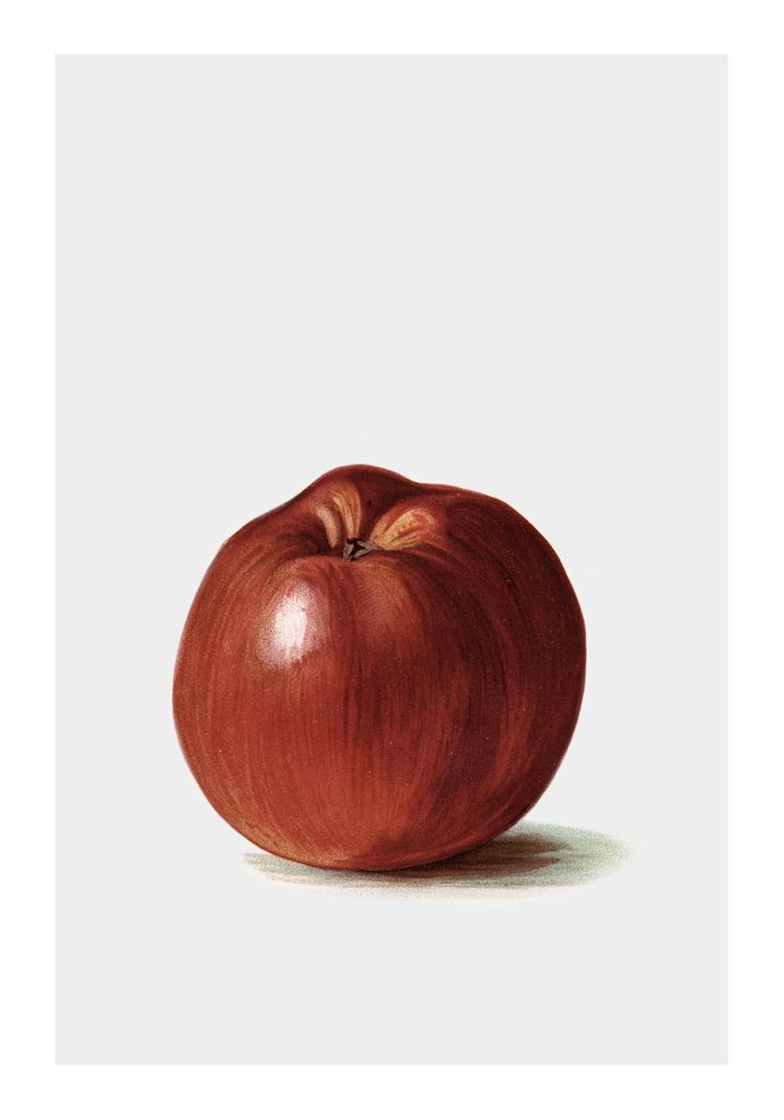 Poster - Swedish Apple 70x100 - Dear Sam