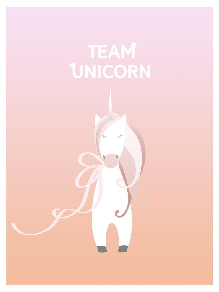 Poster - Team Unicorn 30x40 - Dear Sam