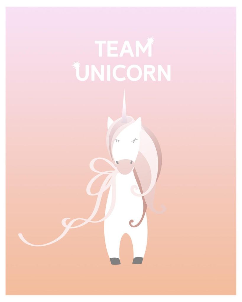 Poster - Team Unicorn 40x50 - Dear Sam