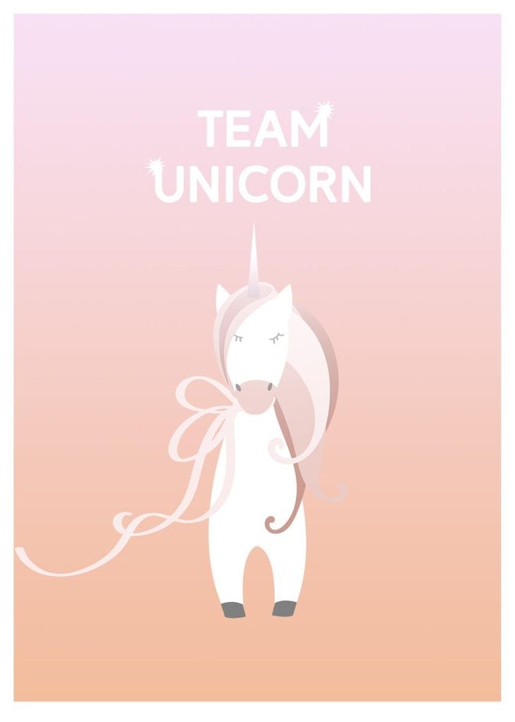 Poster - Team Unicorn 50x70 - Dear Sam