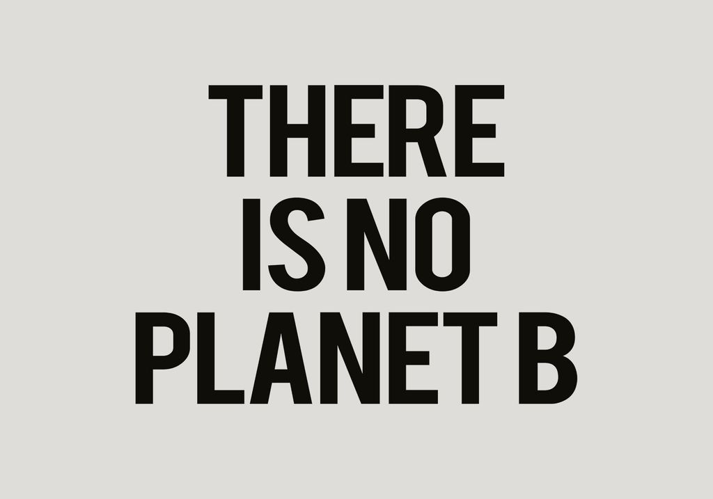 Poster - There Is No Planet B 100x70 - Dear Sam