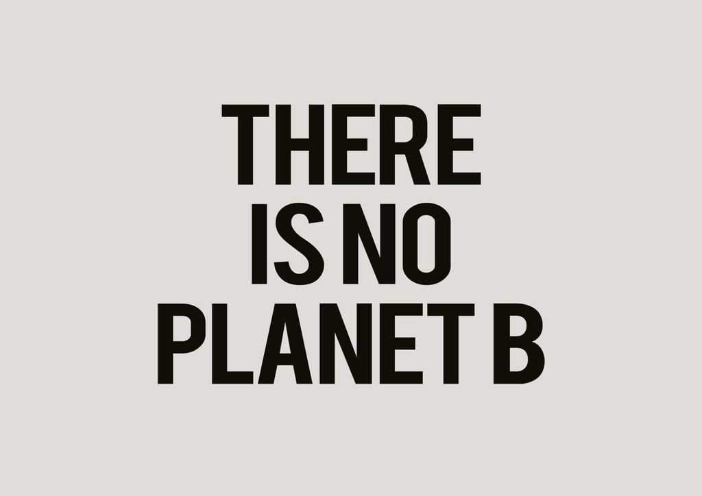 Poster - There Is No Planet B 30x21 - Dear Sam