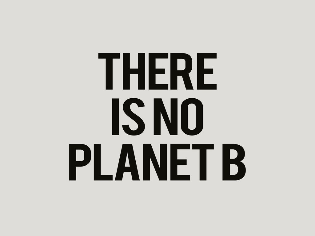 Poster - There Is No Planet B 40x30 - Dear Sam
