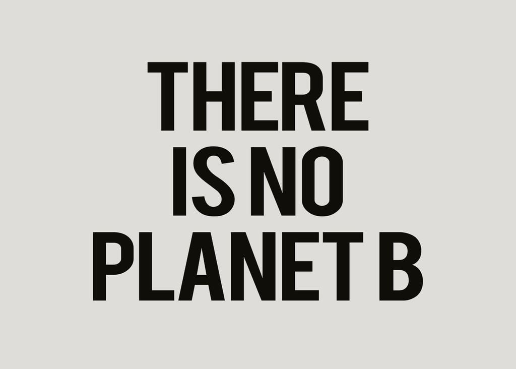 Poster - There Is No Planet B 70x50 - Dear Sam
