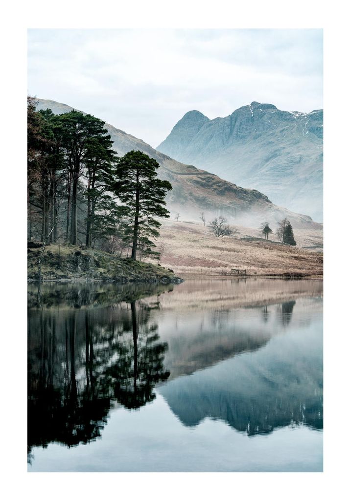 Poster - Trees By The Lake 70x100 - Dear Sam