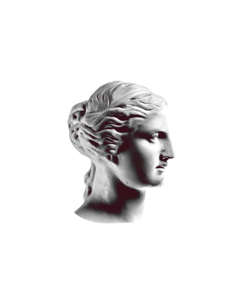 Poster - Venus In Profile 40x50 - Dear Sam