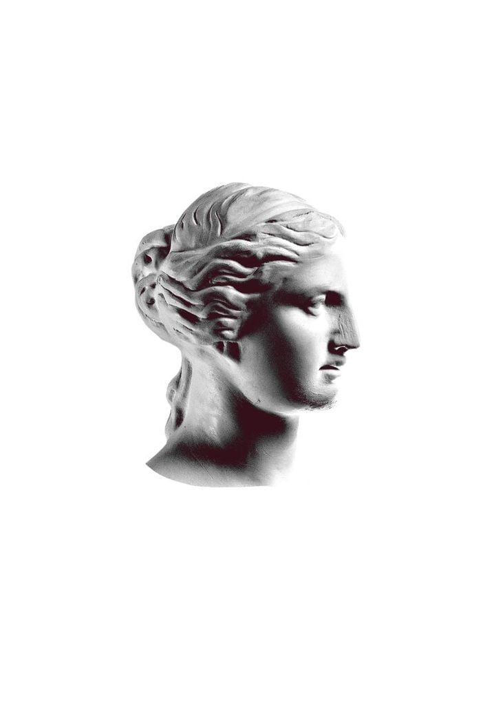 Poster - Venus In Profile 50x70 - Dear Sam