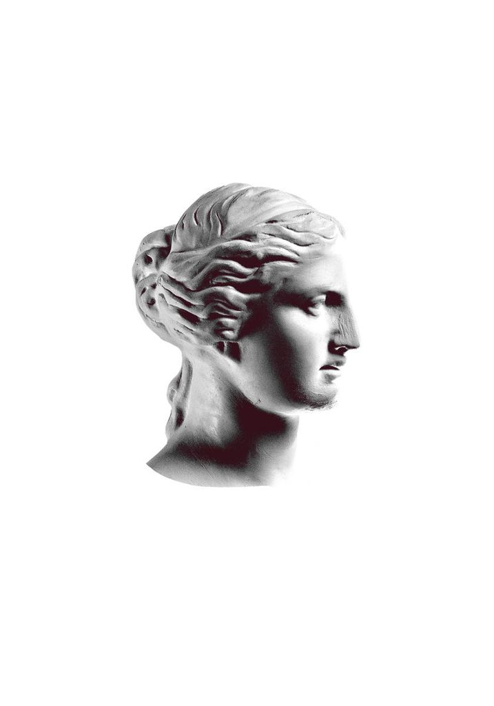 Poster - Venus In Profile 70x100 - Dear Sam
