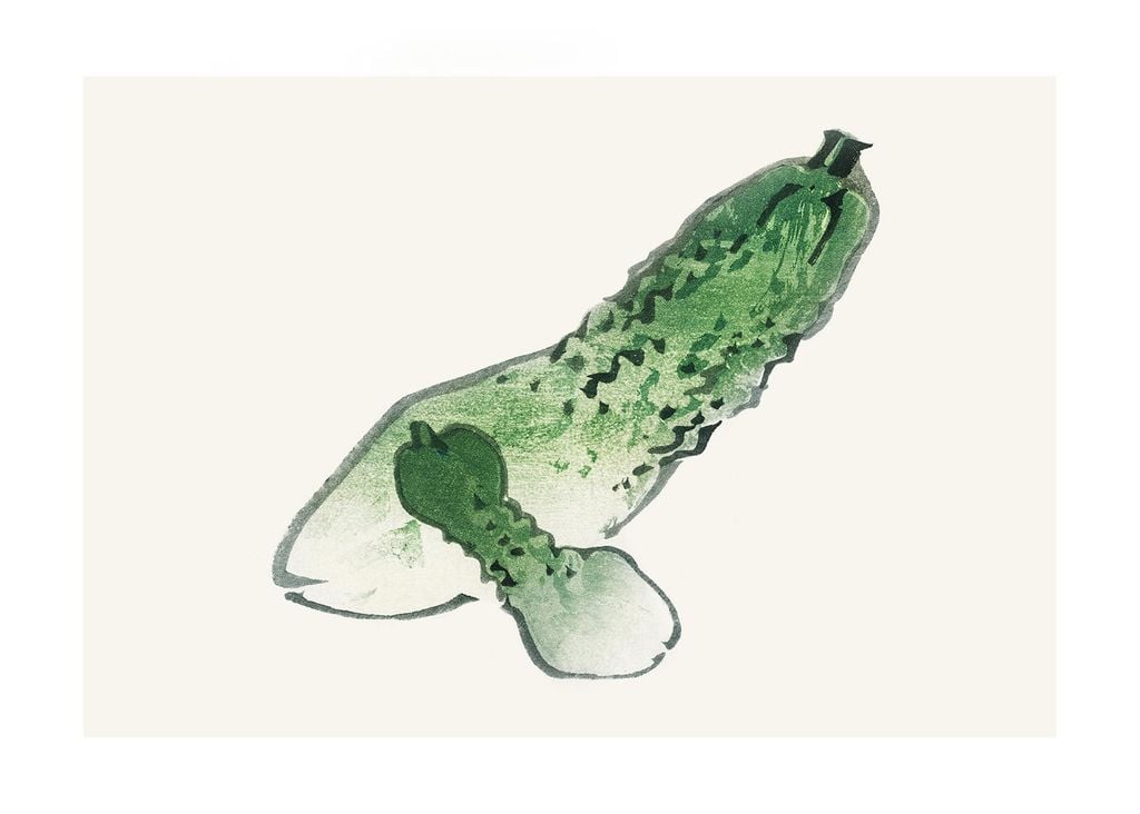Poster - Vintage Cucumber 70x50 - Dear Sam