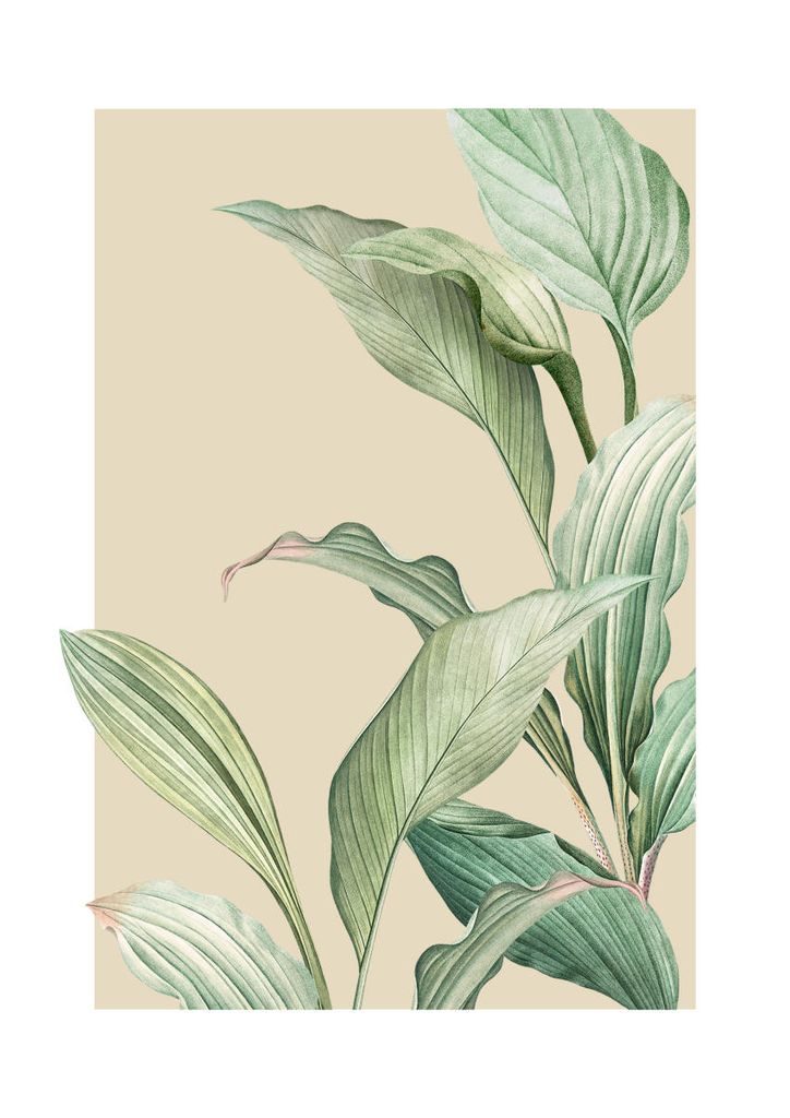 Poster - Vintage Palm Leaves 21x30 - Dear Sam