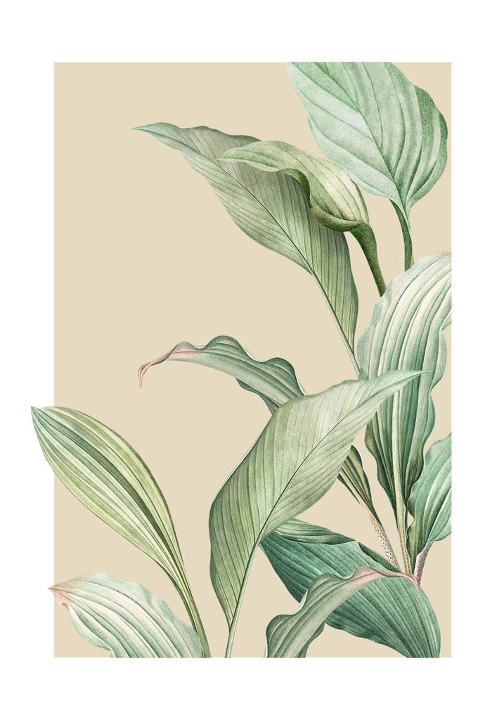 Poster - Vintage Palm Leaves 70x100 - Dear Sam