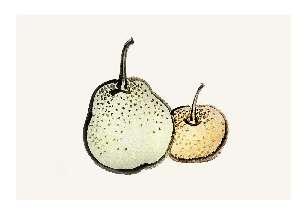 Poster - Vintage Pears 100x70 - Dear Sam