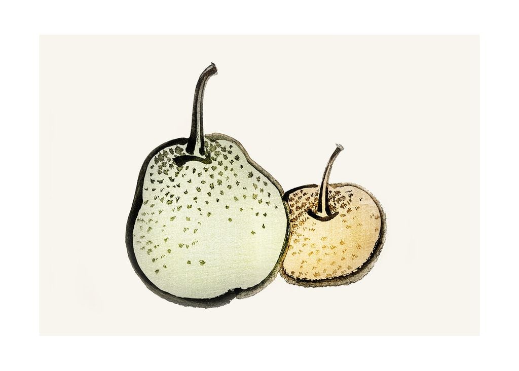 Poster - Vintage Pears 70x50 - Dear Sam