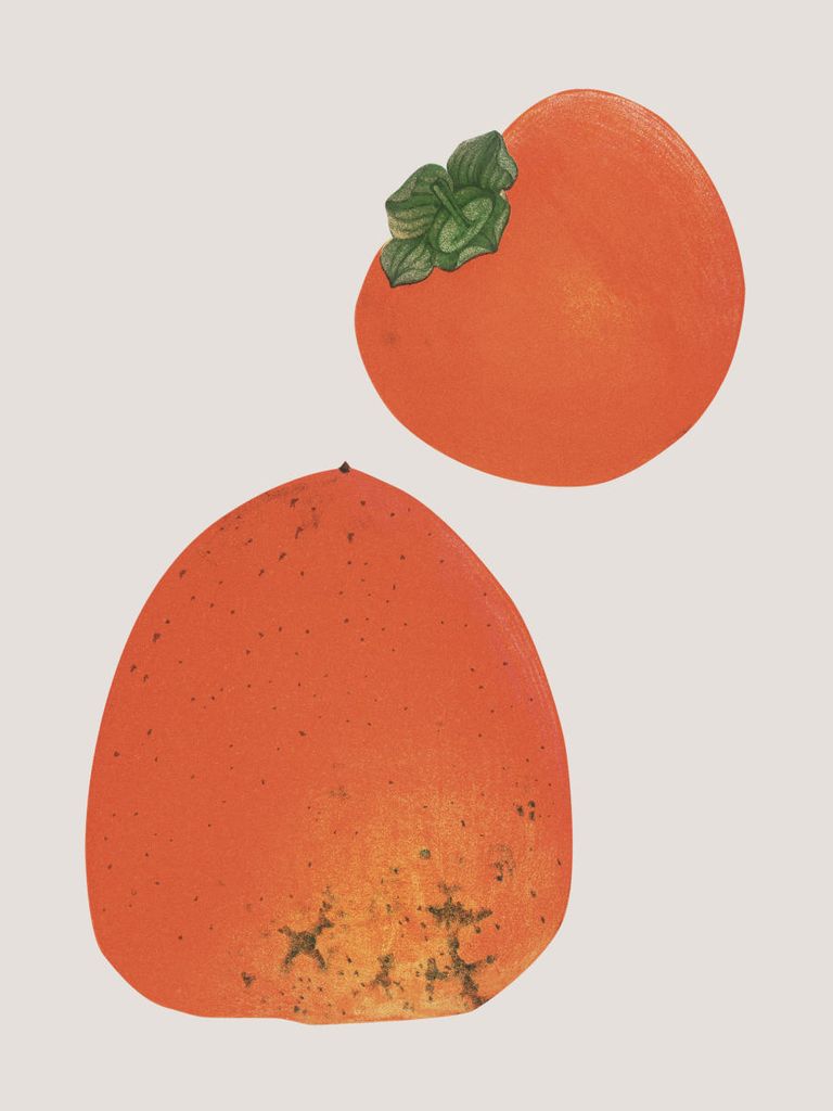 Poster - Vintage Persimmon 30x40 - Dear Sam