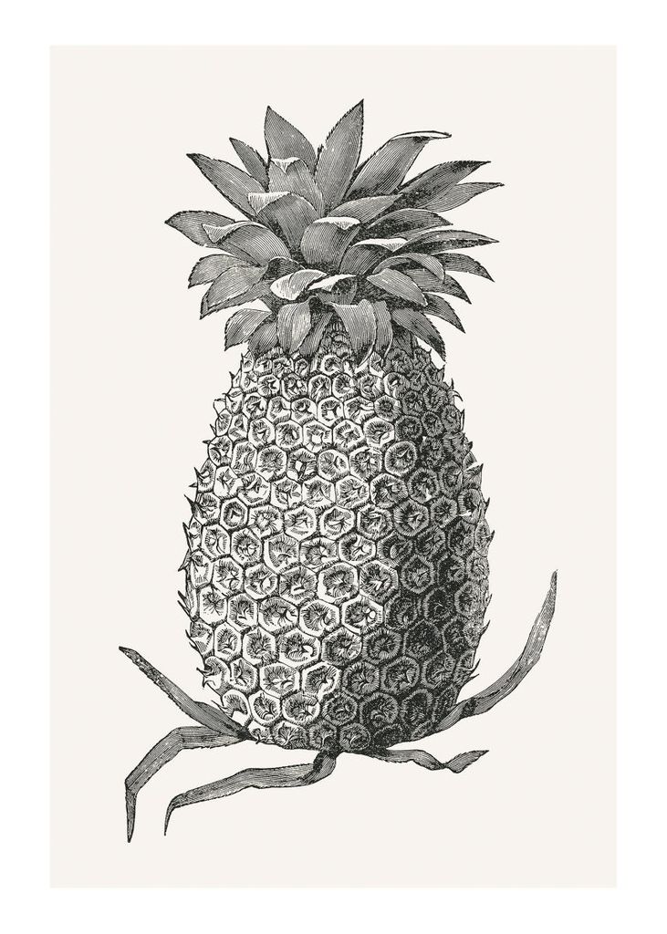 Poster - Vintage Pineapple 50x70 - Dear Sam