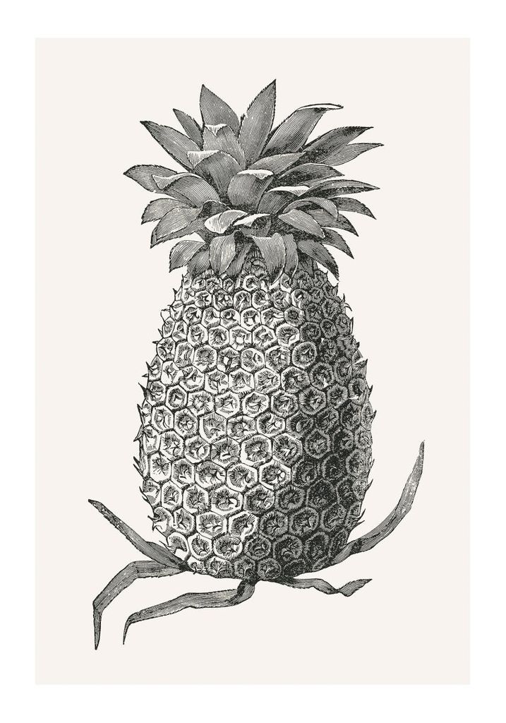Poster - Vintage Pineapple 70x100 - Dear Sam