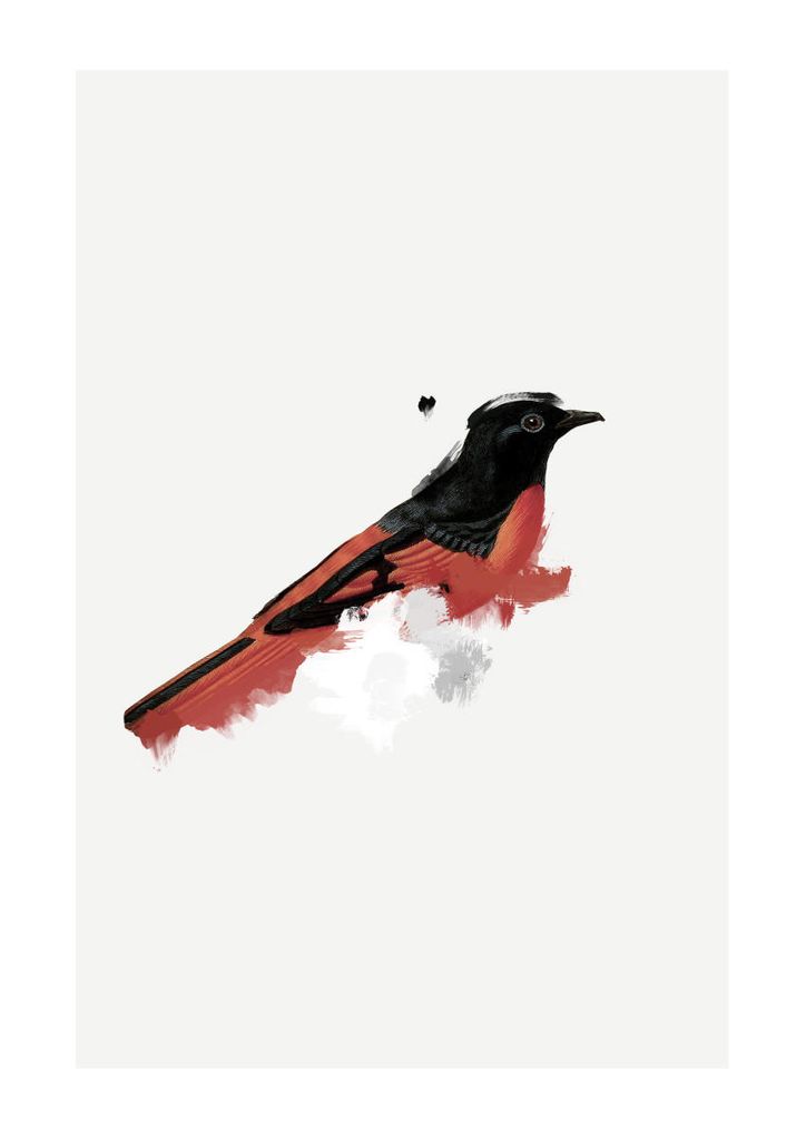 Poster - Watercolor Bird 21x30 - Dear Sam