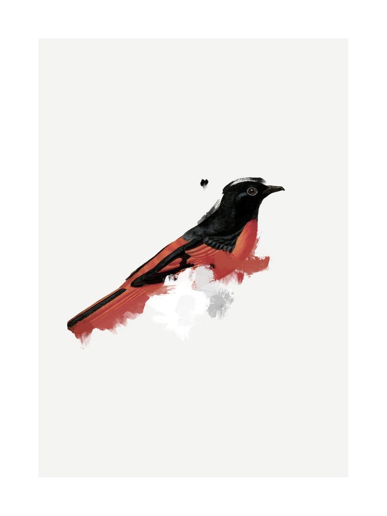 Poster - Watercolor Bird 30x40 - Dear Sam