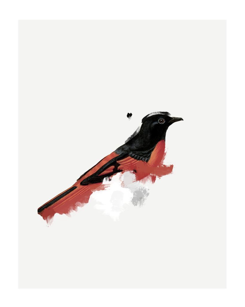 Poster - Watercolor Bird 40x50 - Dear Sam