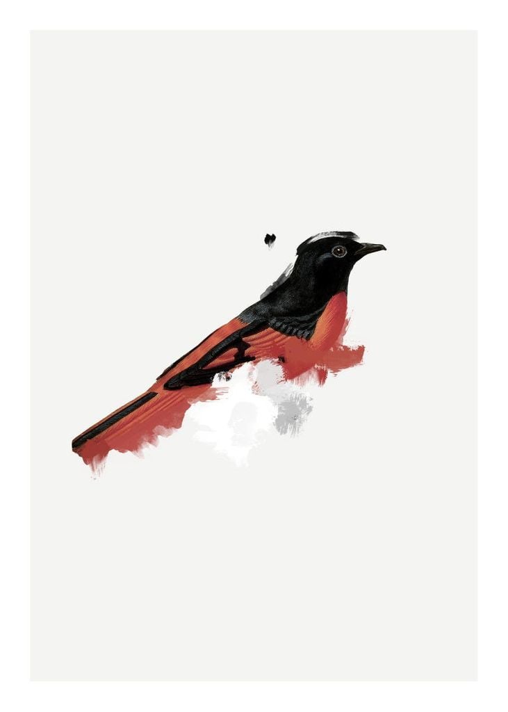 Poster - Watercolor Bird 50x70 - Dear Sam