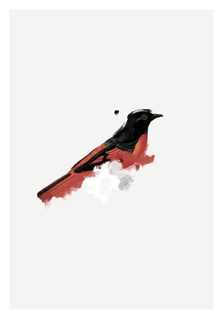Poster - Watercolor Bird 70x100 - Dear Sam