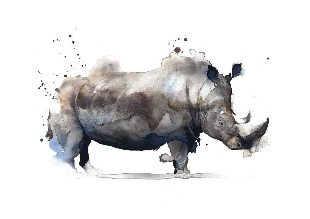 Poster - Watercolor Rhino 30x21 - Dear Sam