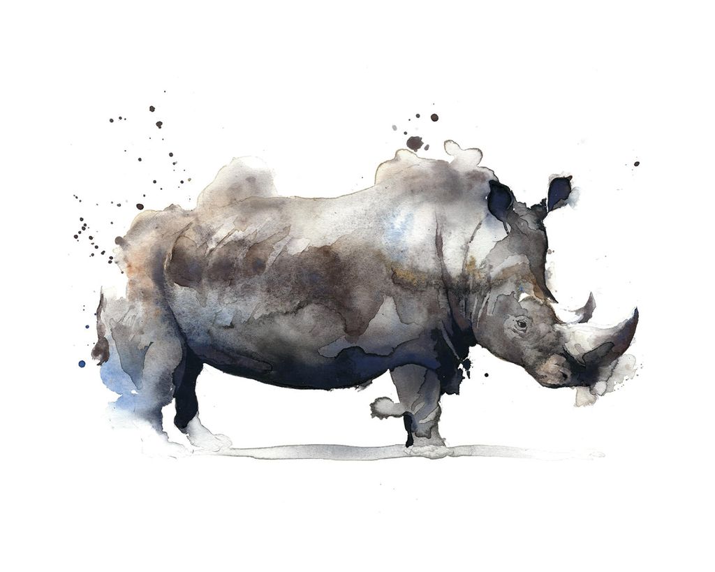 Poster - Watercolor Rhino 50x40 - Dear Sam