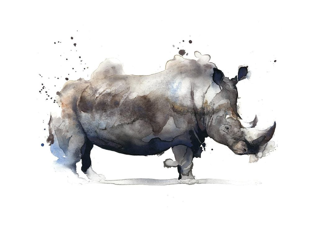 Poster - Watercolor Rhino 70x50 - Dear Sam