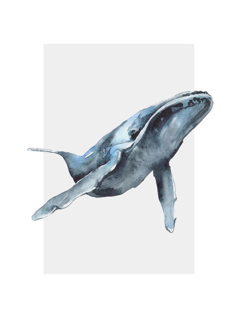 Poster - Watercolor Whale 30x40 - Dear Sam