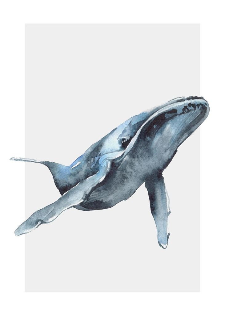 Poster - Watercolor Whale 50x70 - Dear Sam