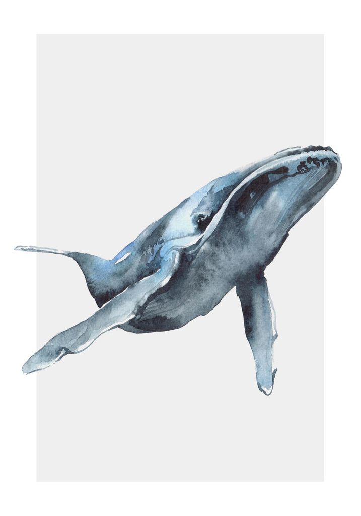 Poster - Watercolor Whale 70x100 - Dear Sam