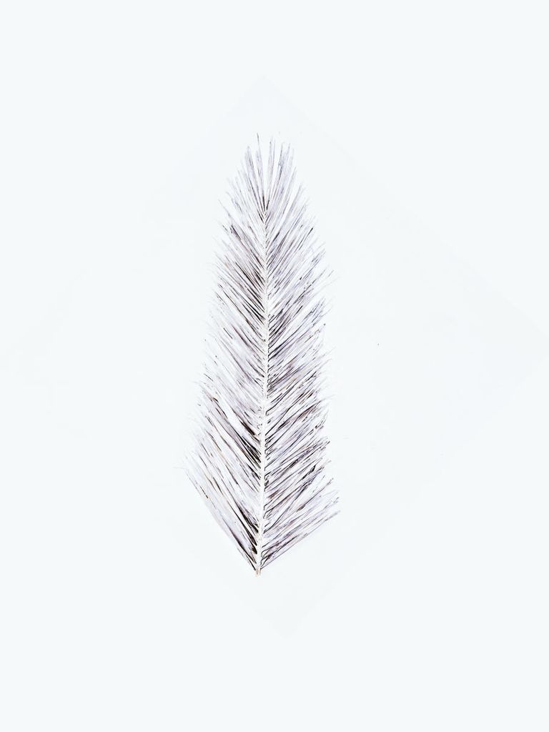 Poster - White Palm Leaf 30x40 - Dear Sam