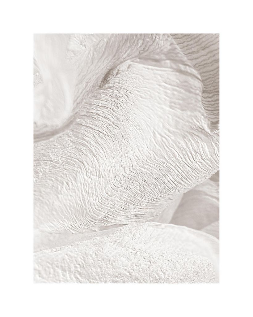 Poster - White Petals 40x50 - Dear Sam