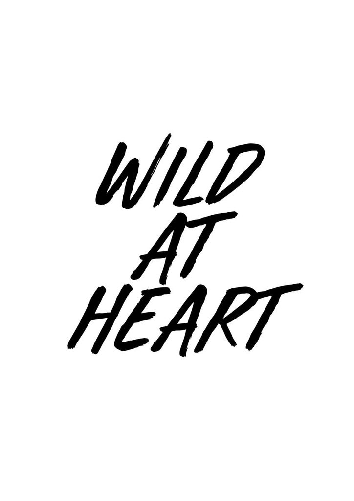 Poster - Wild At Heart 21x30 - Dear Sam