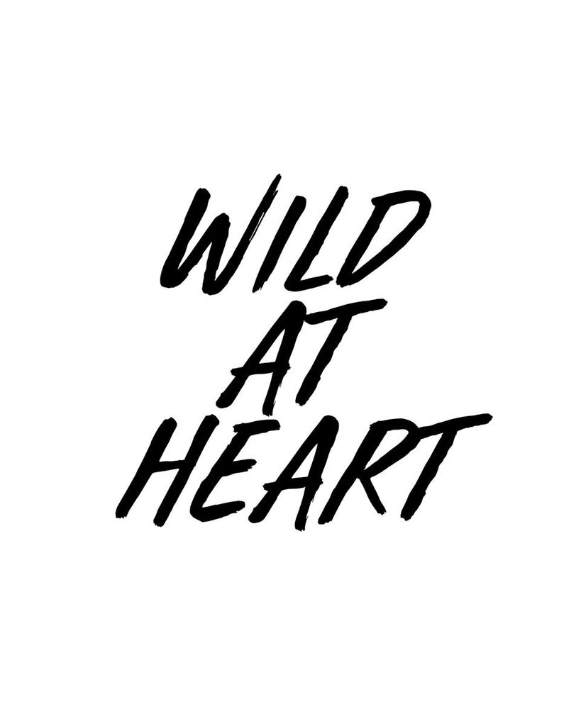 Poster - Wild At Heart 40x50 - Dear Sam