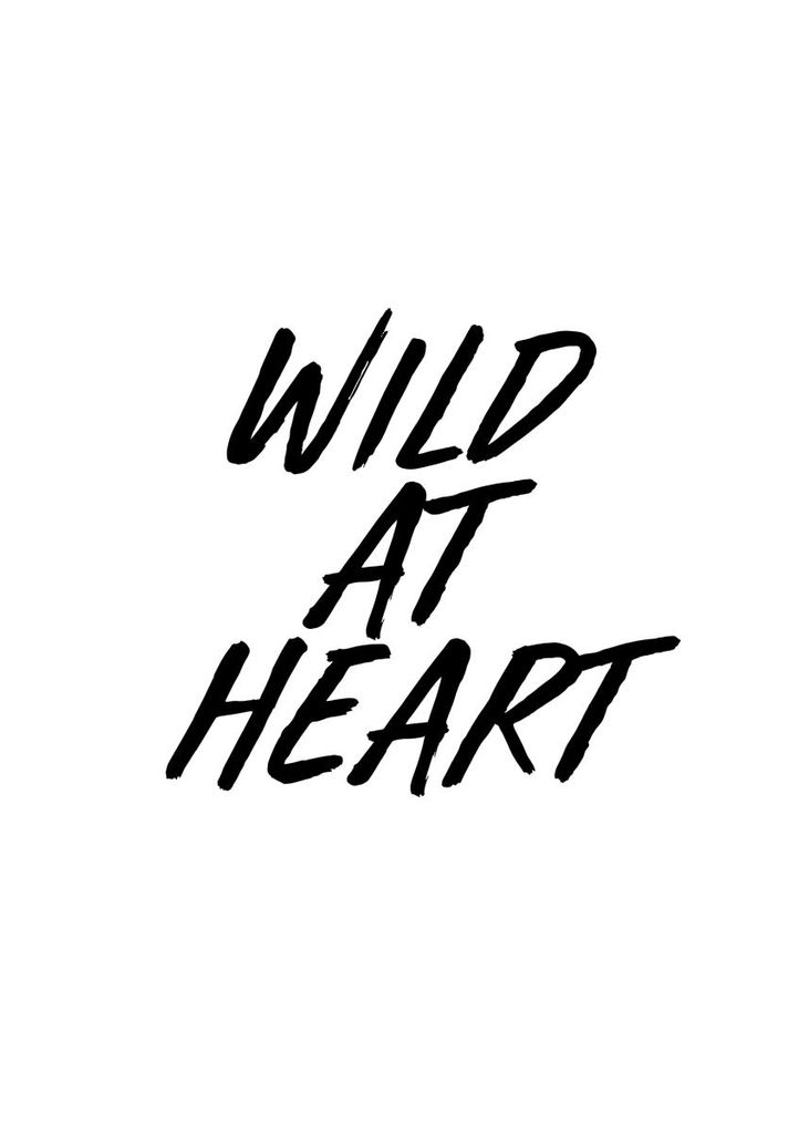 Poster - Wild At Heart 50x70 - Dear Sam