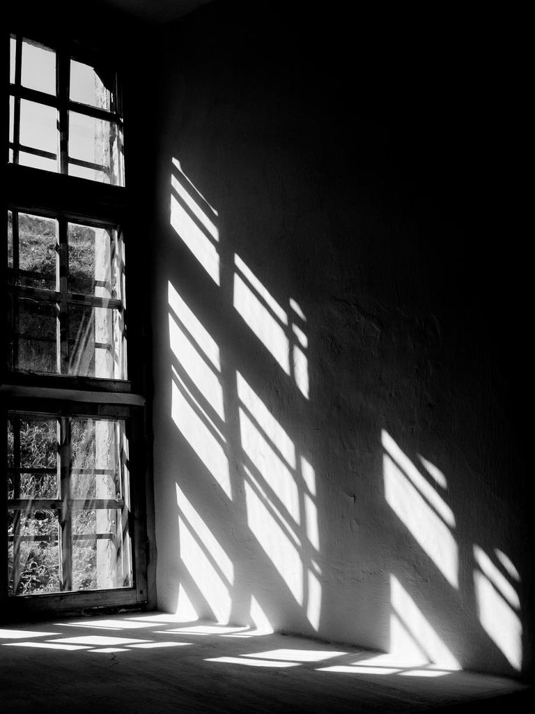 Poster - Window Reflection 30x40 - Dear Sam