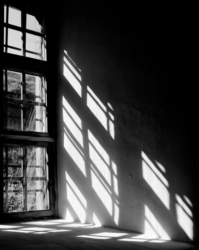 Poster - Window Reflection 40x50 - Dear Sam