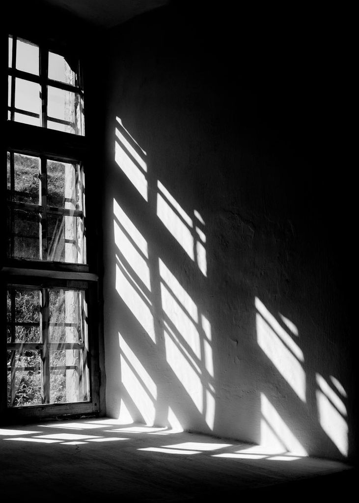 Poster - Window Reflection 50x70 - Dear Sam