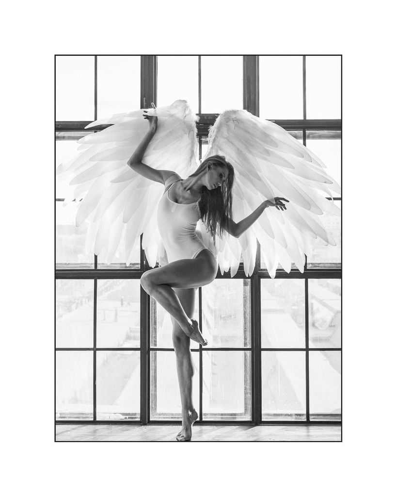 Poster - Wings On 40x50 - Dear Sam