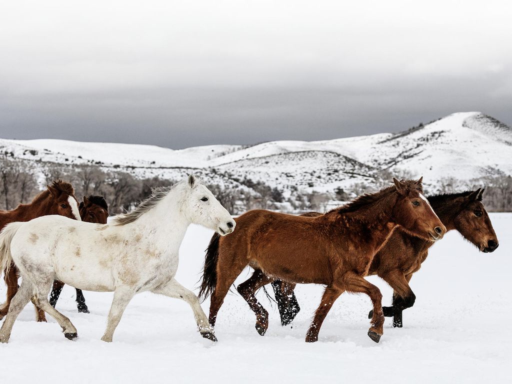 Poster - Winter Fun 40x30 - Dear Sam