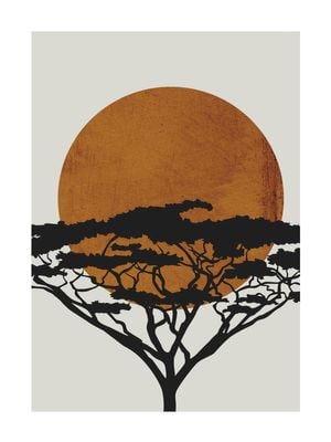 Acacia Sun 30x40