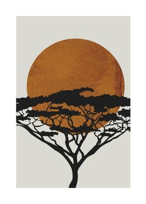 Acacia Sun 50x70