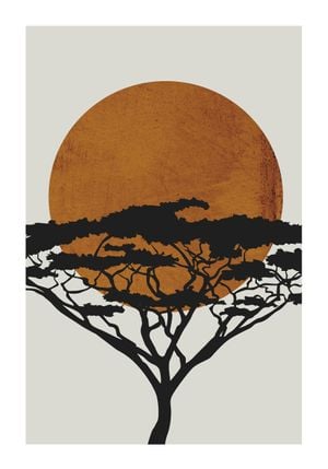 Acacia Sun 70x100